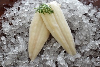 Rödtungafilé 80/120